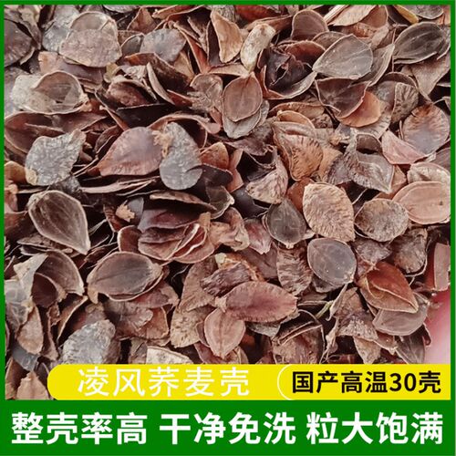 厂家荞麦壳高温熏蒸 30壳高成壳率汽车坐垫枕头枕芯填充物