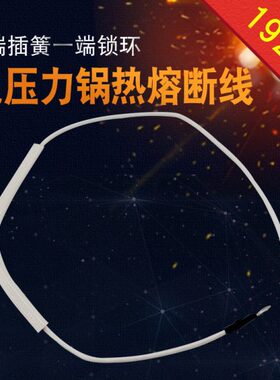 底部熔断想电压力锅070/Y07YS保险丝CSBQ10C白色F热-50保险管8