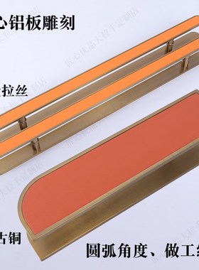 大门拉手镶嵌皮革玻璃门把手w古铜现代定制橙色商店大拉手酒店KTV