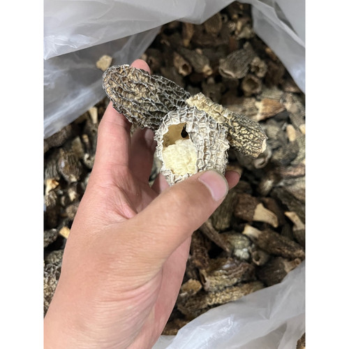 羊肚菌特价破损菇性价比高