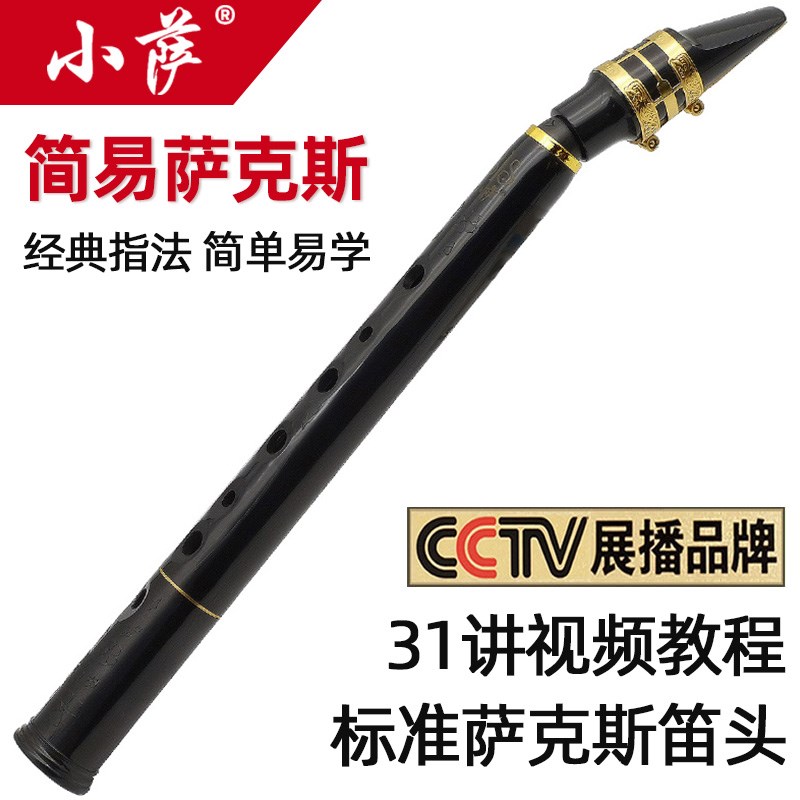 小萨克斯便携式萨克斯风迷你z小单簧管笛子儿童自学简易吹管乐器