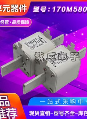 170M5738 170M5739 170M5740 170M5741 170M5742 170M5743熔断器