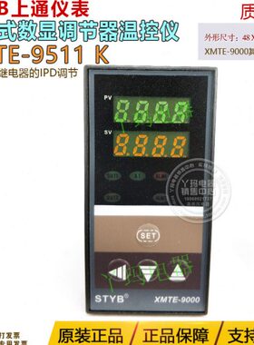 EDT  Y0通上EX仪表 K型-B95调节T固态ST 驱动温度 0-IPMX0仪9M11