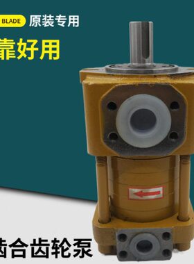 啮合齿轮油泵/内N320G116TF/T4NT3F/DF/6F/- F//12N250F2F/32F/40
