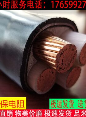 +/120///V2295平702+/方装Z4505芯铠1铜芯电缆线V150RYJV国标WDZ3