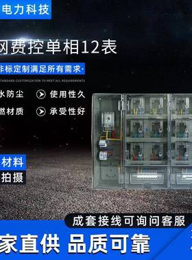 胜迪电力现货供应南网费控单相12表电表箱1070X133X170电表箱
