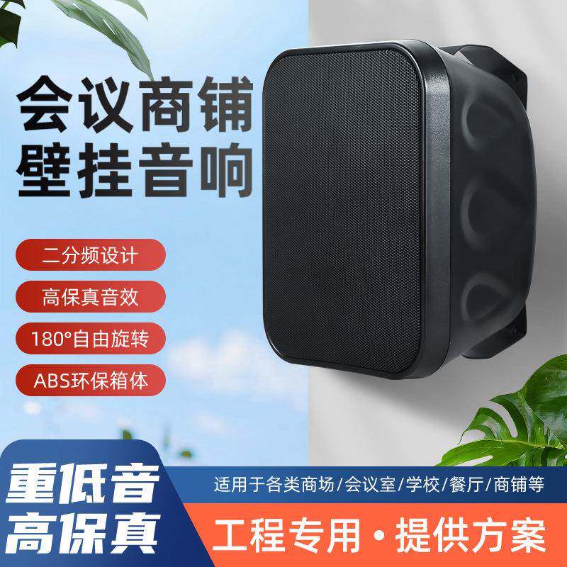 大功率壁挂音箱40W/60W商场培训教学会议用壁挂音箱壁挂音响