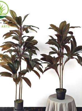 仿真朱蕉秋红铁绿植盆栽组合造景仿真树装饰道具摆件