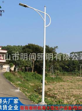 LED路灯厂家供应30瓦高亮度小金豆市政工程建设5米4米道路灯