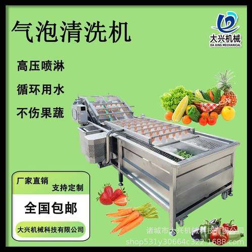 商用果蔬气泡清洗机大型枸杞大枣气泡清洗线全自动药材蔬菜洗菜机