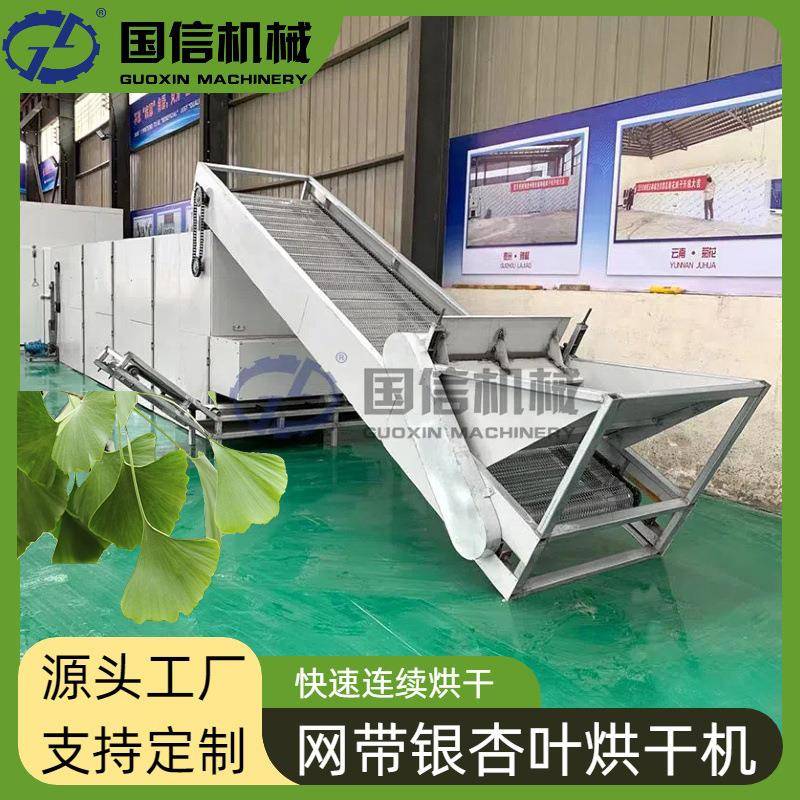 鸭脚子叶白果树叶连续烘干机白孙树叶烘干设备网带银杏叶烘干机