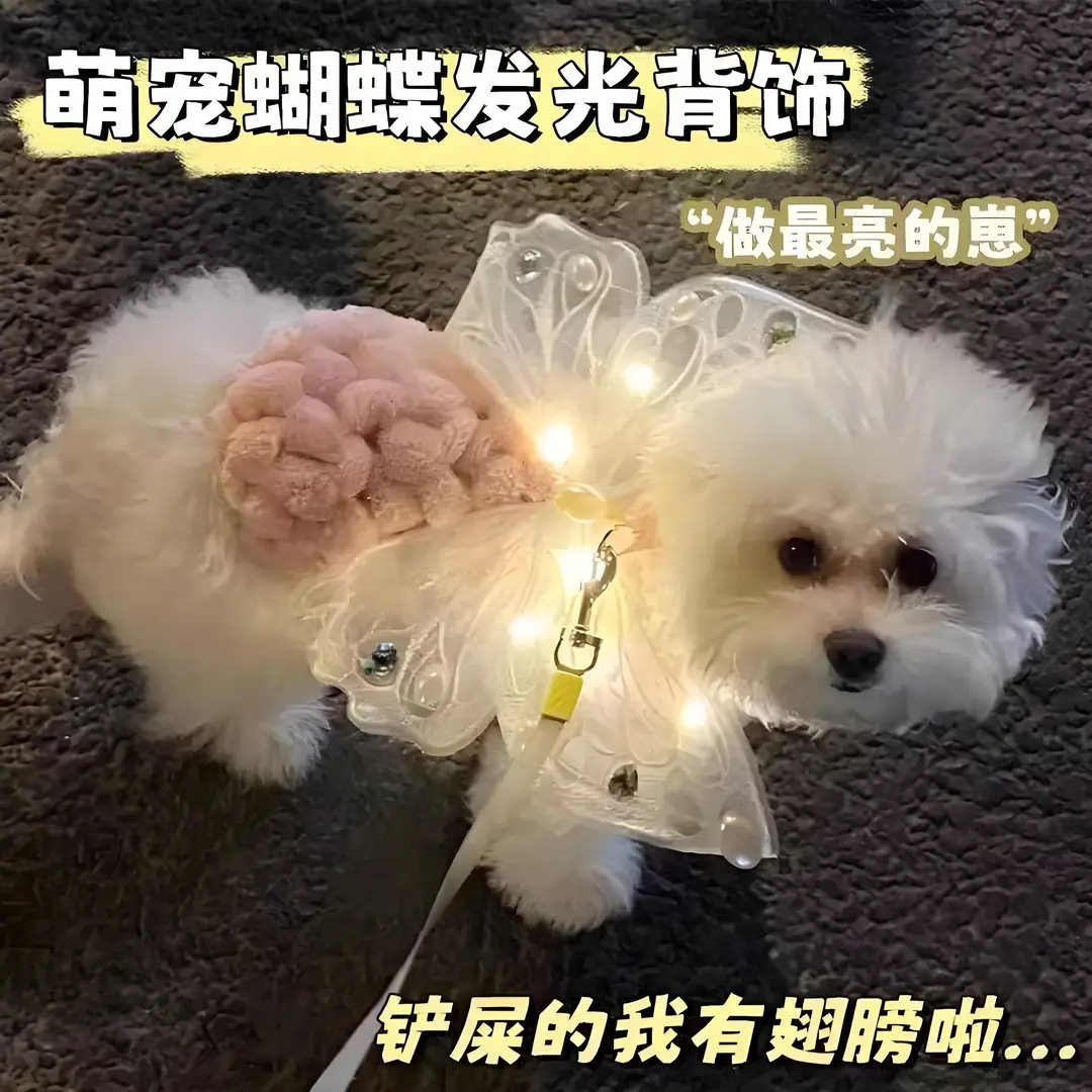 可爱狗狗翅膀发光蝴蝶背饰小狗夏天衣服防掉胸背装饰小型犬比熊
