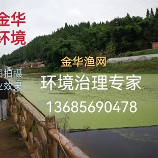 蓝藻拦截网 河道清理网拉浮萍网河道环卫垃圾清理网 藕田藕塘网