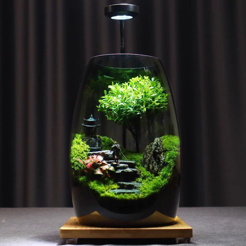 苔藓微景观生态瓶玻璃造景植物盆景办公室桌面diy盆栽装饰小摆件