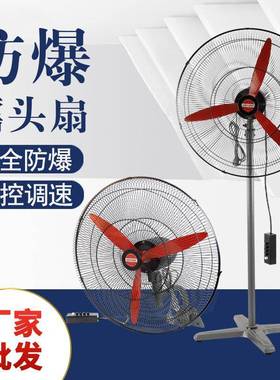 防爆摇头扇FB/BTS-500落地式600壁式750工业防爆风扇220V电风扇