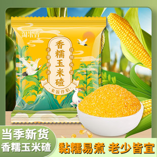 淘米香正宗东北香糯玉米碴代餐粗粮五谷杂粮新鲜营养250g