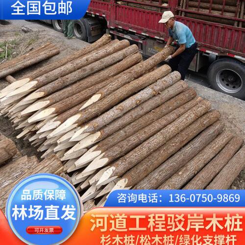 河道驳岸木桩杉松木绿化户外实木木支撑杆打桩木原木落叶松圆桩苗