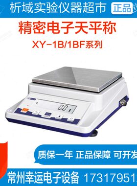 X1.Y- 程电子称/量0大常州幸运X1BF0200010BFg电子天平Y-30