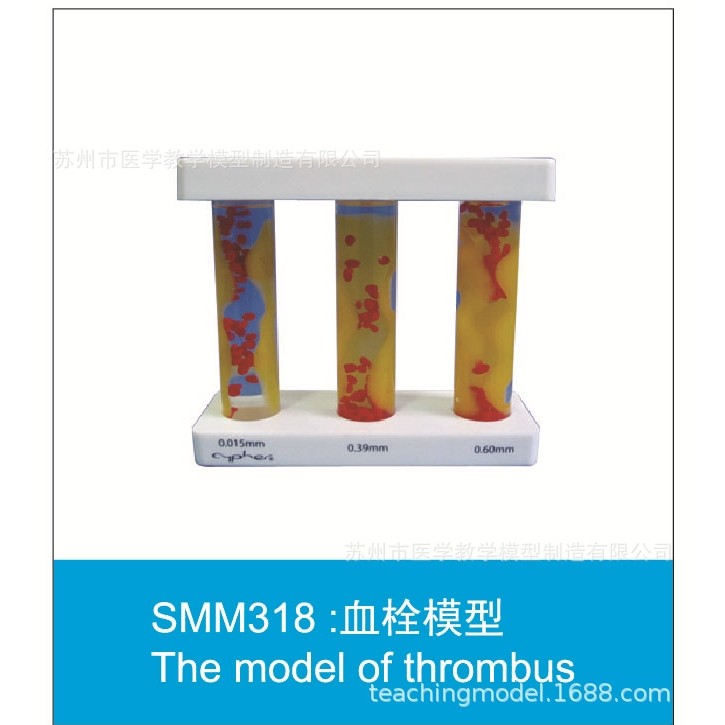 SMM系列促销模型,文具电教/文化用品/商务用品,教学标本/模型,淘宝优惠券,粉丝福利购,淘宝优惠卷