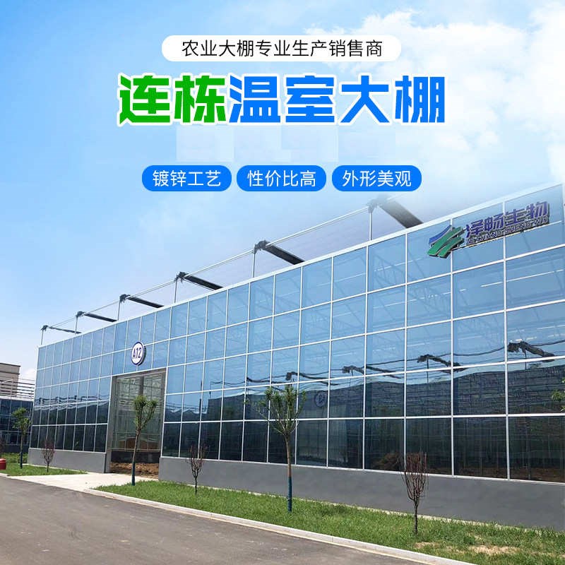 承接玻璃连栋温室大棚  造价一站式服N务连动薄膜温室建设
