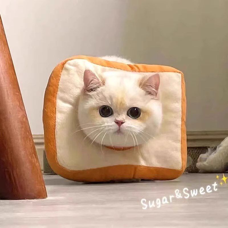 宠物猫咪绝育柔软项圈可调节小猫狗狗防舔咬神器脖圈,宠物/宠物食品及用品,宠物伊丽莎白圈,淘宝优惠券,粉丝福利购,淘宝优惠卷