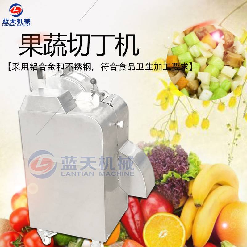 蓝天多功能果蔬切丁机 不锈钢果蔬切菜机 高速果蔬切丁设备生产商