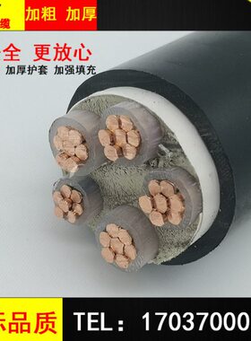 国标铜芯铠装电缆ZR-YJV22VV2/3/4/5芯10/16/25/35平方电力电源线