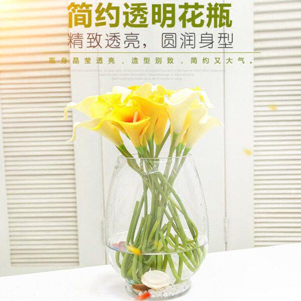 包邮恐龙蛋造型实用 简约 透明 富贵竹绿萝专用瓶 水培玻璃花瓶