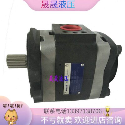 德国 VOITH/福伊特 齿轮泵 IPV3/IPVP3-3.5/5/6.3/8/10-101 油泵