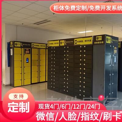 浴室浴场更衣柜/人脸识别智能储物柜/学生存物柜/图书场馆存包柜