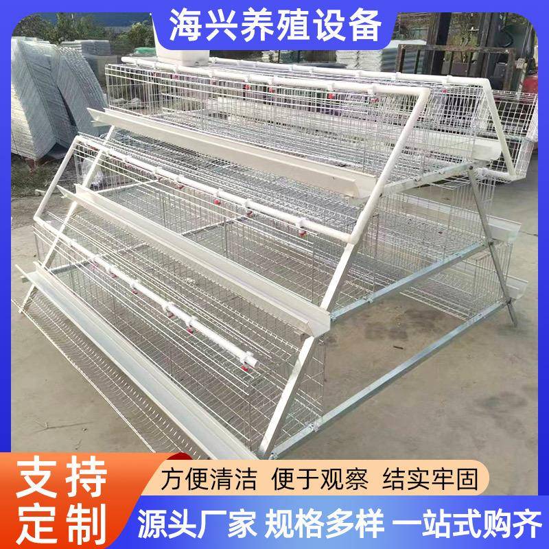 三层四层阶梯式蛋鸡笼A型鸡笼配件蛋鸡养殖笼阶梯式蛋鸡笼子全套