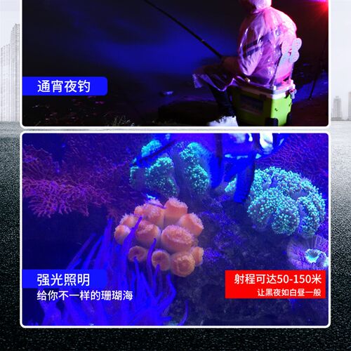 白蓝双光源充电强光变焦手电筒白光照明蓝光夜钓照鱼漂珊瑚补光灯