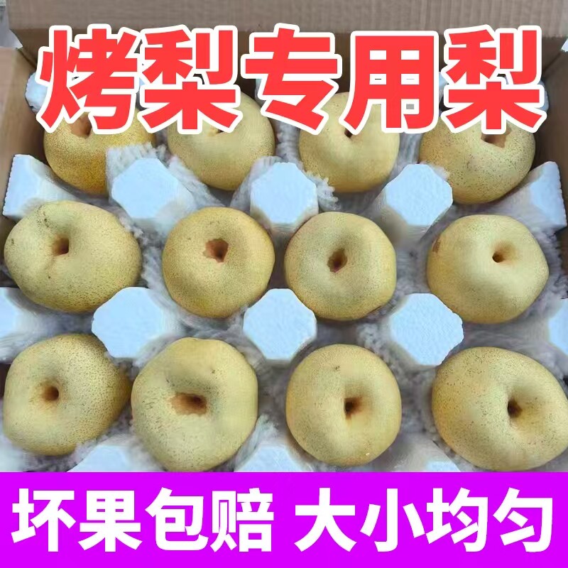 砀山梨小梨子批发烤梨专用梨酥梨