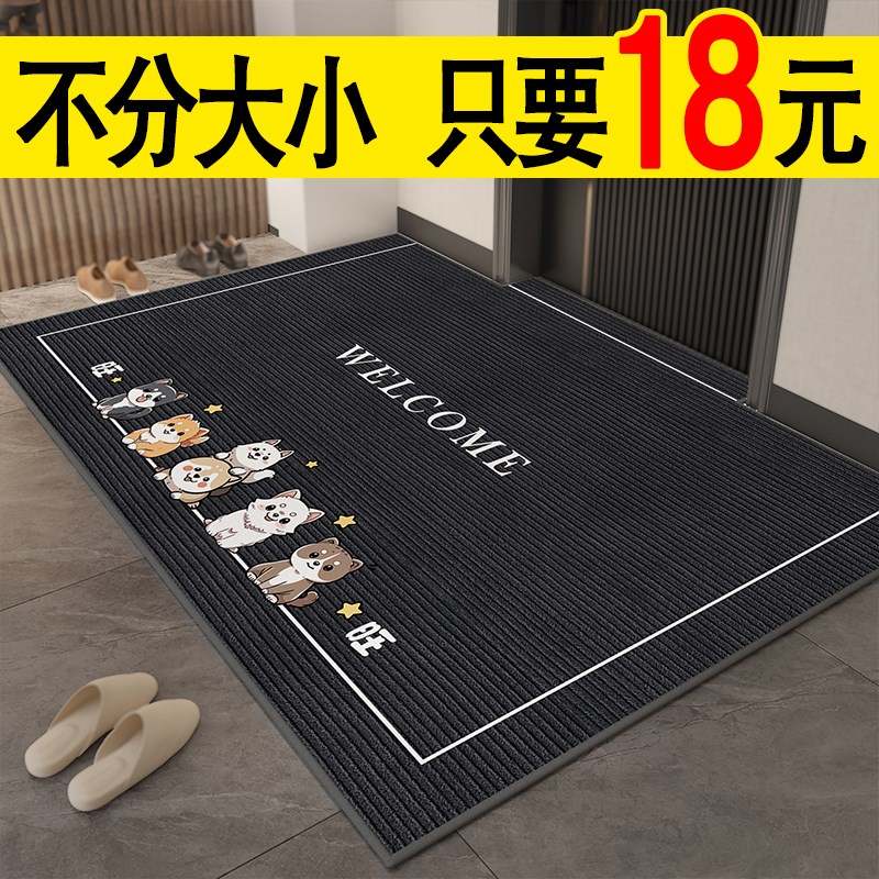 入户门地垫高级感家用防滑入户大门口进门垫客厅大地毯可裁剪垫子
