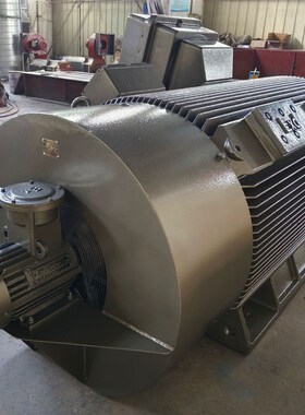 稀土永磁电机 30kw 3000/1H500转 100hz电动机