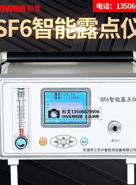 SF6智能微水仪露点检测仪湿度露点仪智能露点仪SW6004