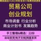 中小型商贸企业跨国公司创业规划前期筹备市场前景分析商业计划书