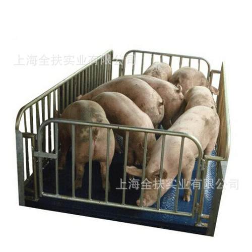 供应3吨电子地磅秤 2×2m物流地坪秤 2-3T电子动物秤 超地平台秤