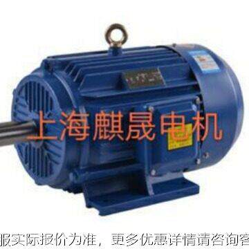 E3-3Y15L能2-8-110W效节YE3系列三相异584步电动机厂家直销
