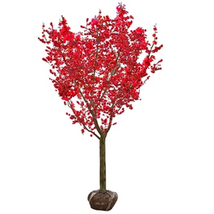 高杆大红梅花树苗庭院别墅耐寒冬季开花卉植物浓香盆栽红梅花苗树