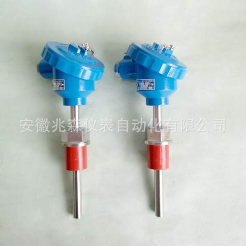 防爆热电阻WZP-240WZP-241WZP-242WZP-243WZP-244WZP-246