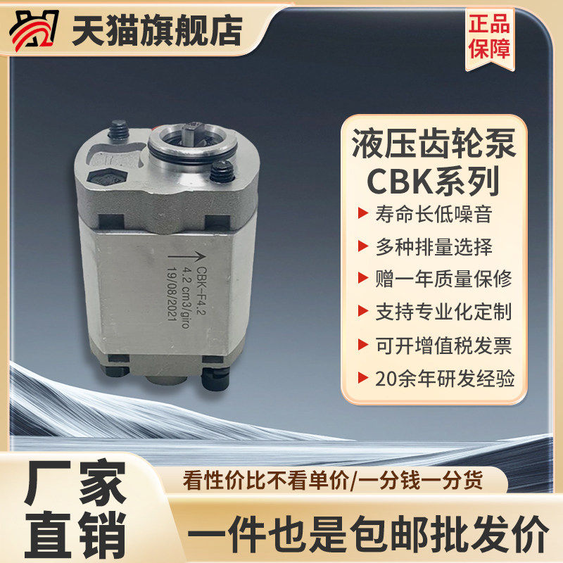 征全液压齿轮泵油泵总成CBK-F2.13456举升机动力单元小型迷你微型