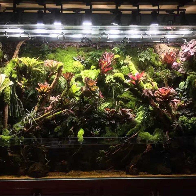 雨林缸LED射灯微景观造景水草灯水陆缸轨O道全光谱植物照明灯,家装灯饰光源,植物生长灯,淘宝优惠券,粉丝福利购,淘宝优惠卷
