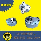 B10 B63 Bz32 B25 B50 B16 B80 B125F齿轮油泵T B40 B20