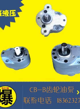 CB-B6/B10/B4/B16/B20/B25/Bz32/B40/B50/B63/B80/B125F齿轮油泵T