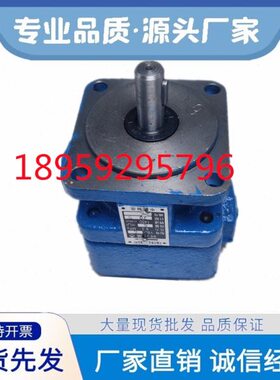 YB1-4/6.3/10永灵叶片泵YB1-2.5/12.5/16/20/31.5/40/50/80/125