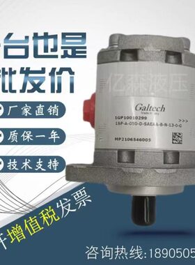 高泰克Galtech齿轮泵2SP-G-040/60/80/110/140/160/190/220/260-D