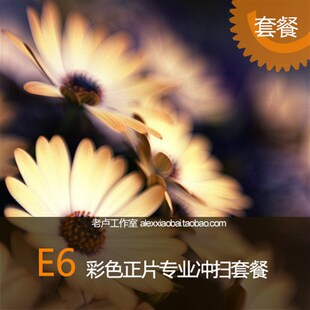 135/120/4X5 正片反转片专业冲洗扫瞄套餐 E6工艺底片胶卷冲扫