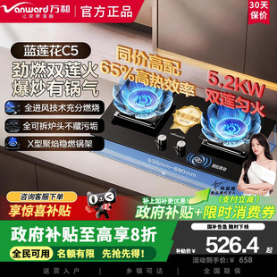 万和C5L90S天然气燃气灶5.2kW猛火嵌入式 家用煤气双炉具65%热效率