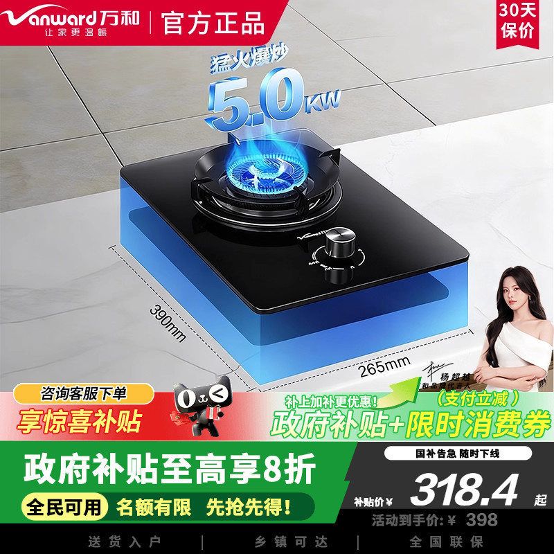 万和燃气灶单灶煤气灶天然气灶家用5.0KW火力单灶头E6L90租房必备